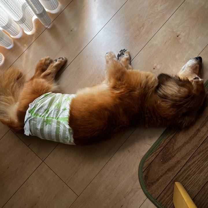 77868f11 a6b7 4694 a732 cb92ecd70ff7 1658664919400