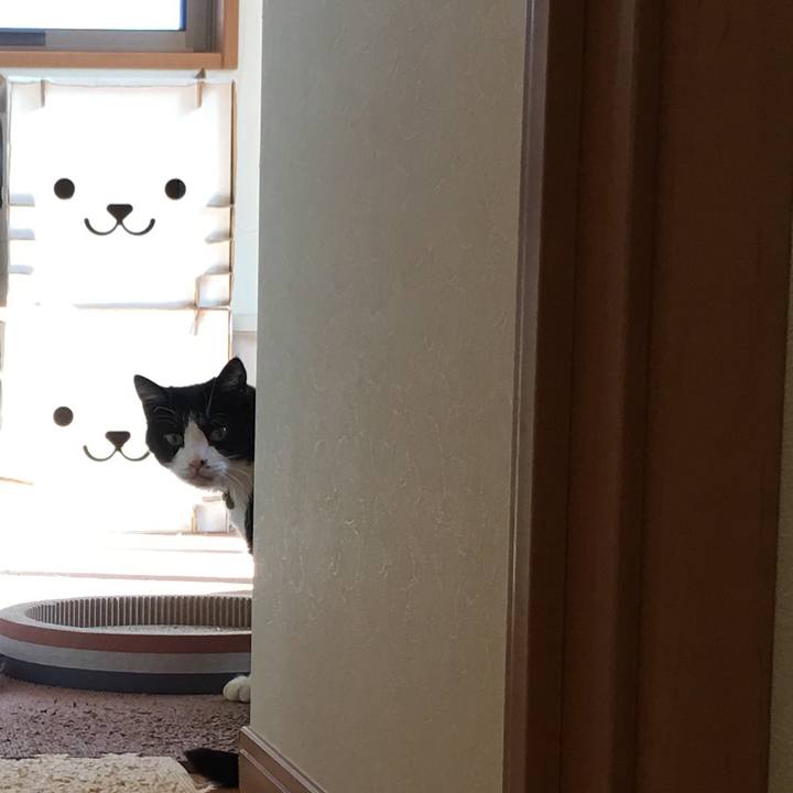 7786d414 21a6 44b2 9220 8902ea3e18de 1510195308442