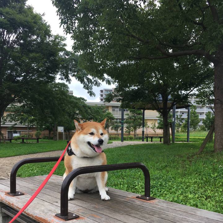 7786de62 bea3 4bc9 a027 c00de5a40b22 1595997790474