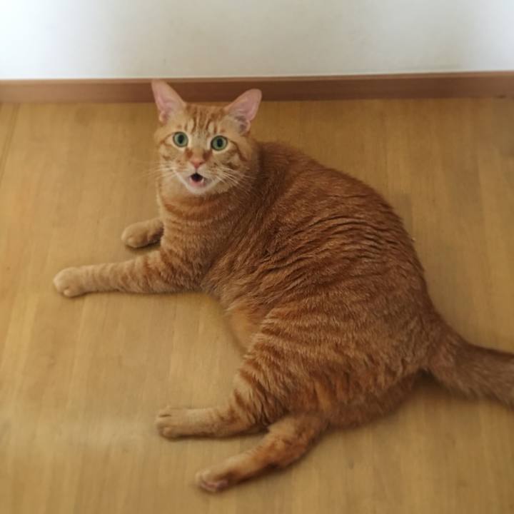 77876d30 6ab6 4f84 af33 366e59a43c22 1564048037864