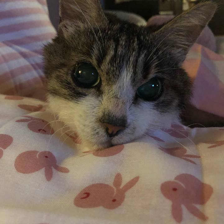 77877b76 f1ad 48c8 bea1 34b10cce9c89 1603963460091