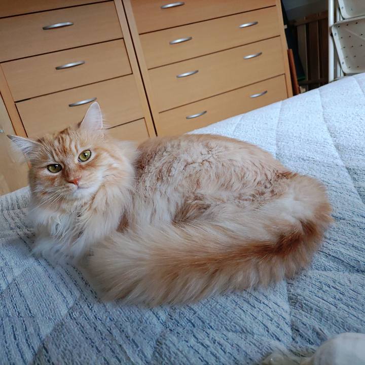 77877b79 2ace 424e 94e2 1b28a4ed153a 1716192831981