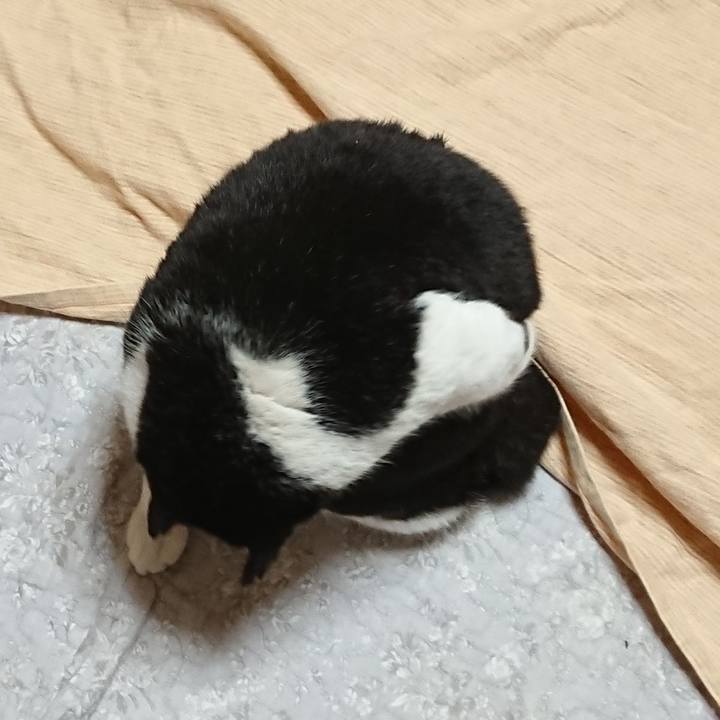 7787aca9 55b8 413e b819 b9e6cb5b4ad4 1670322566094