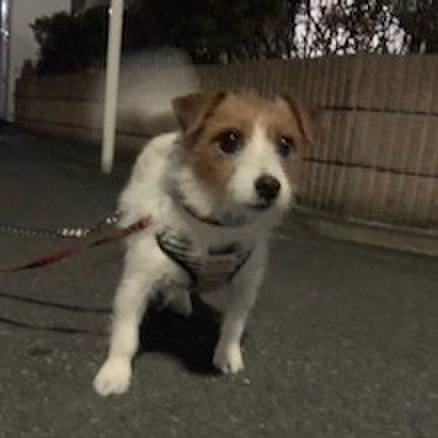 7787e726 8fa9 4111 8562 82e7dbbb8655 1574070537171