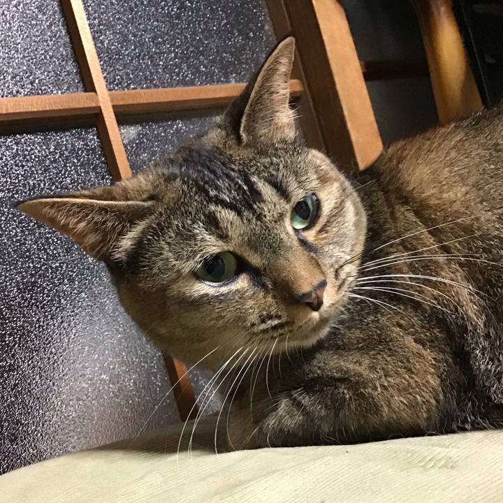 7787f405 87d6 4752 a439 90f05c9123e9 1660740812632