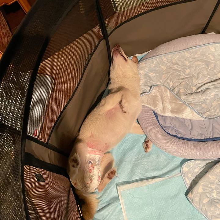 77880f41 57a9 4bc7 8a69 250a69bbcbe3 1666102403847