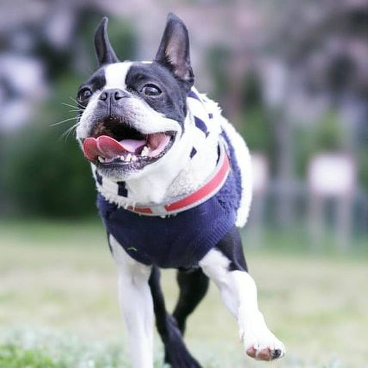 77881940 776f 4e7b 8bda ab38f560305b 1554014632197