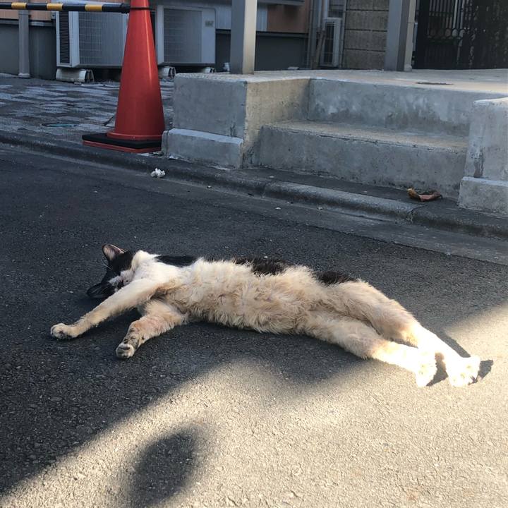 77884104 9eec 4108 b772 3e422213b59a 1572726854034