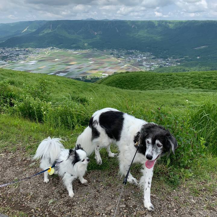 778842b4 989a 4ade a64c bf815f520cc5 1654780024392