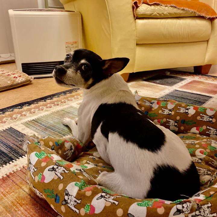 77885495 7130 40a9 888e f67e1790e00b 1576318448798