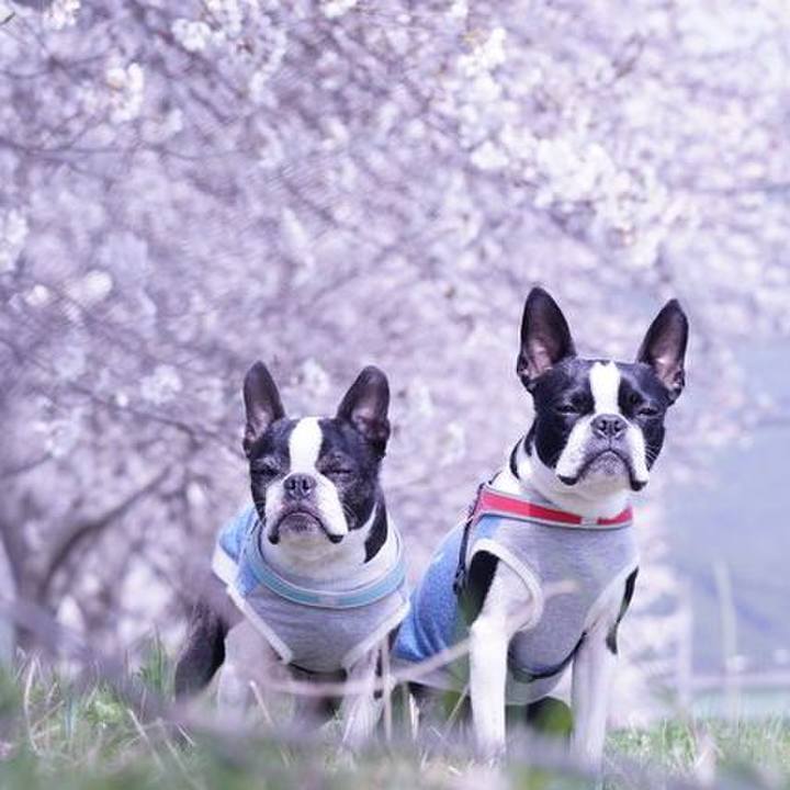 77886085 2aa5 40ee a7e3 26039fb2cd6d 1522572983212