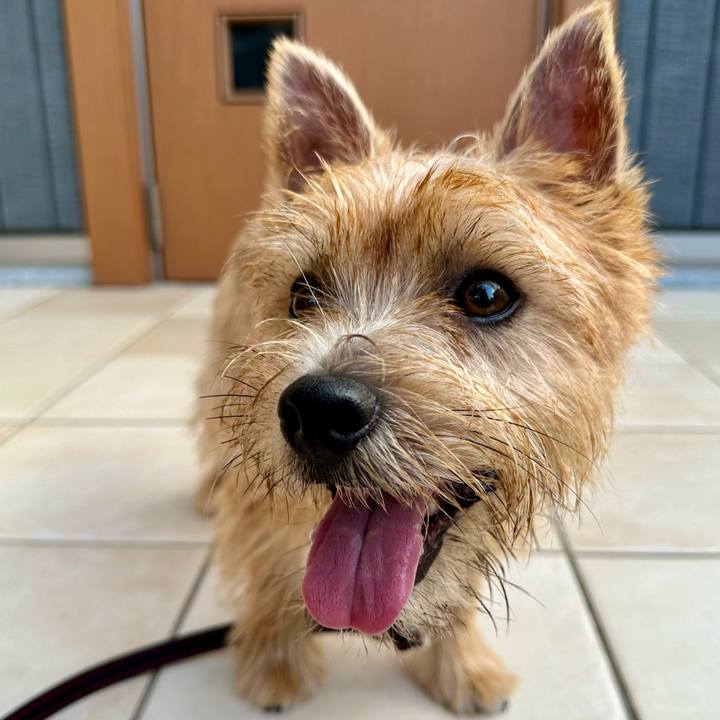 778866ce 451c 4bb5 a6f6 c75a7d341f1f 1726823293642