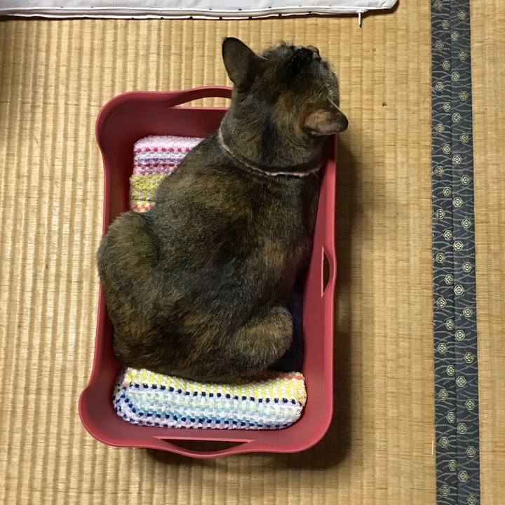 77888461 0c9c 4ff5 b43e 40b73a5350a2 1627636308021