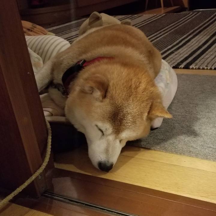 7788a2ab 02c7 413b 9de3 aefee4115a9c 1717322552018