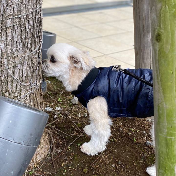 7788bf69 72a1 4c92 90a6 5e810cb42e38 1575248679724