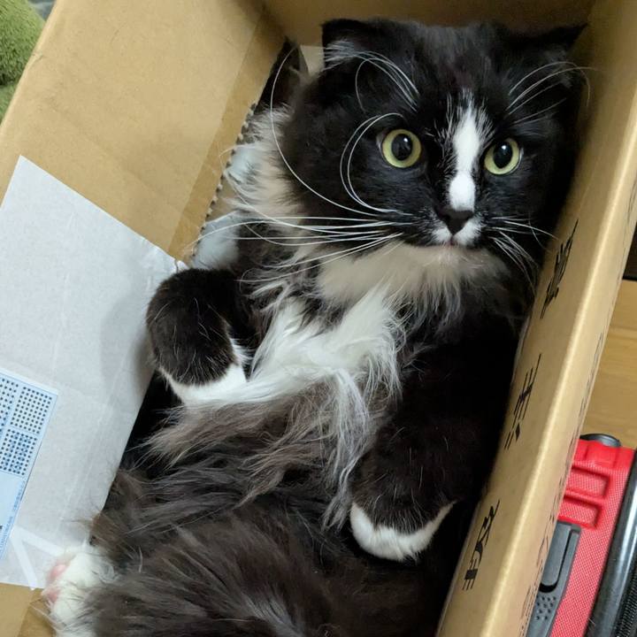 77890534 f4e8 4a7f 9eb1 91761b48497c 1744928721716