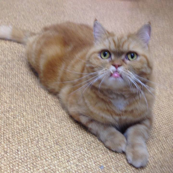 77893a88 815b 4d7a 9f8e 27a5341391f8 1508468949344