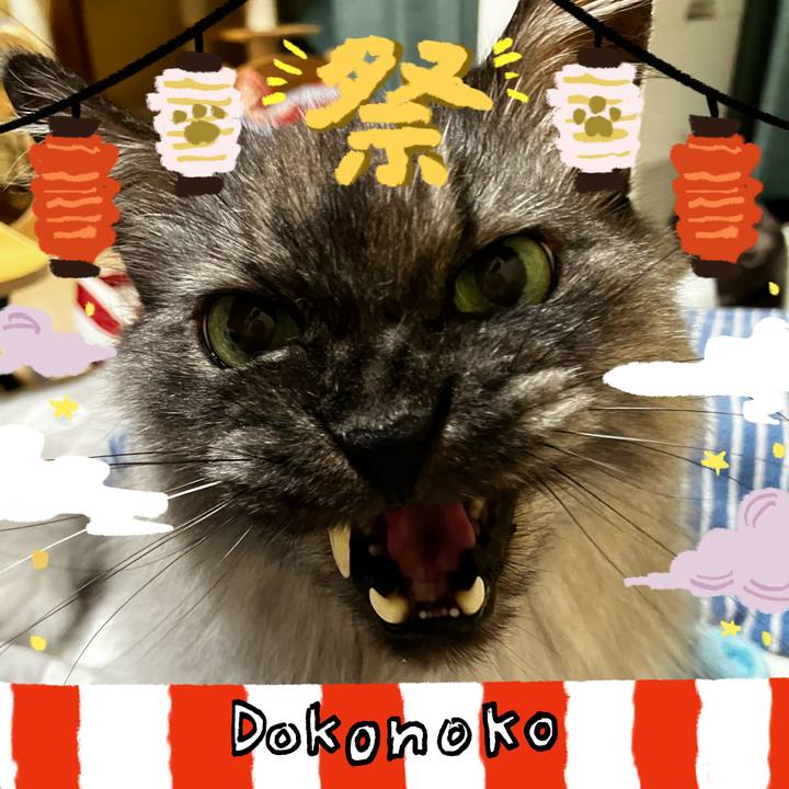 77896550 7ecf 4efd 87ca 57b8cf9b8e4b 1723314643175