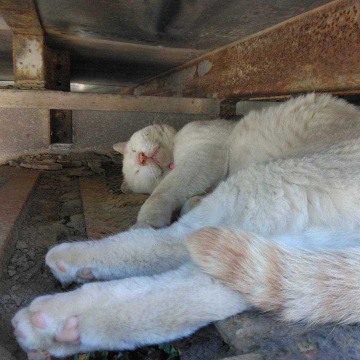 77897f85 c3ca 449a 9a54 c519451c23af 1689552486977