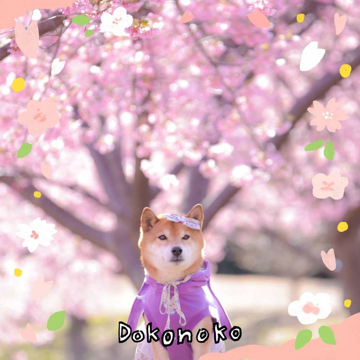 7789804e 9e30 4ccd bfc0 c6eff9d1d85e 1711015980058