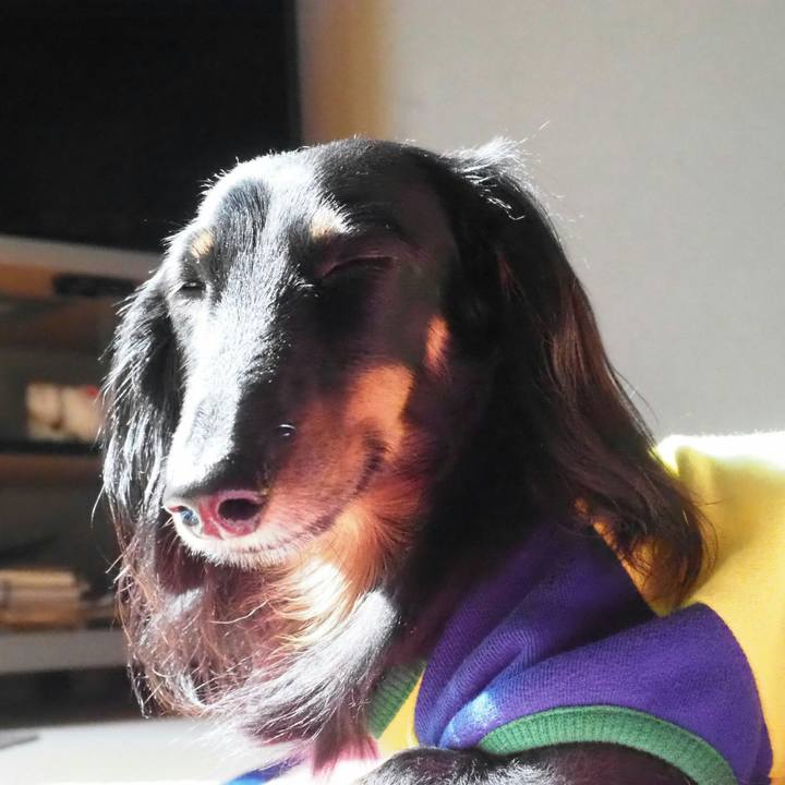 77899458 3123 4837 be43 33f5f8b131e6 1541554632735