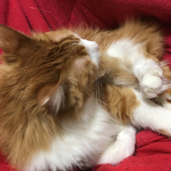 77899ee9 747e 4f73 bdd7 d1989bd20031 1518536477415