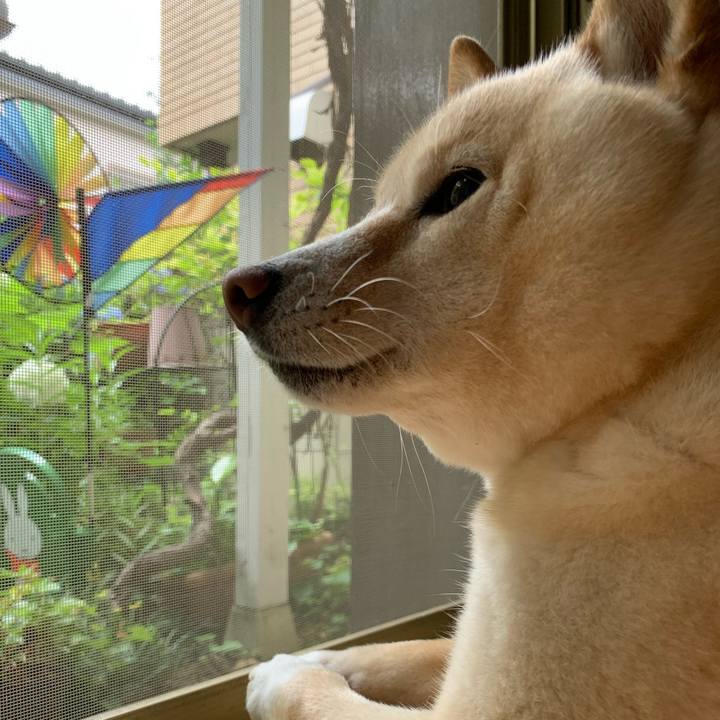 7789ab5f 16cd 4f7f 8f47 9ba931bf861c 1655512315349