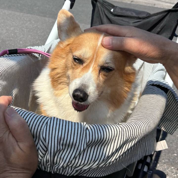 7789c7a8 060f 4753 b1c5 9293d10679ff 1746673844517