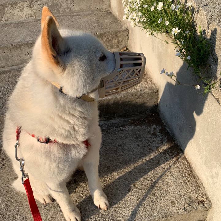 7789f63a 9c89 42ed 9c9b 0f1b5cfec6dd 1558816438231