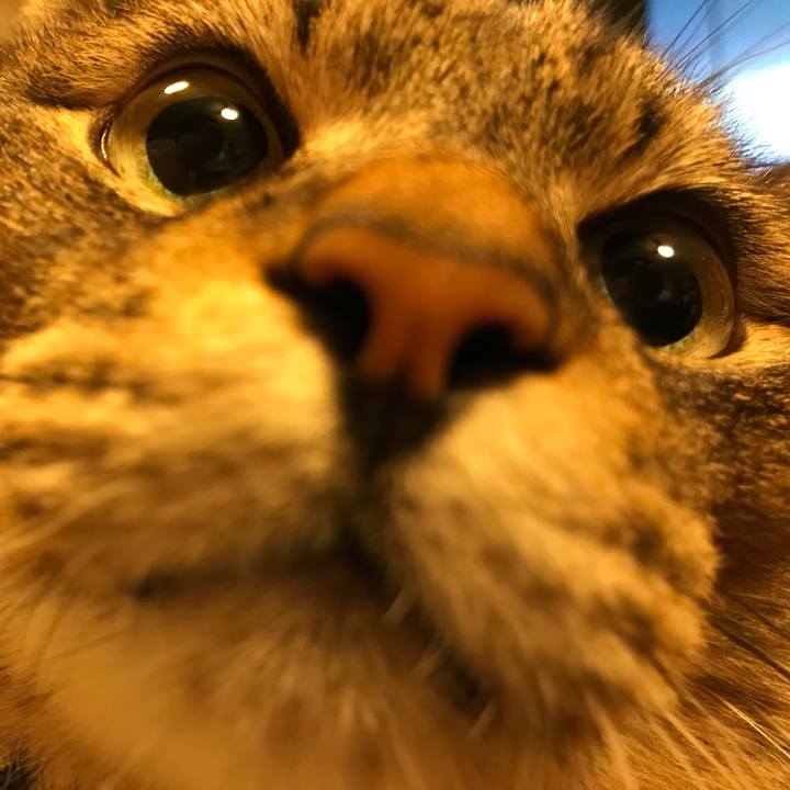 7789f81a d06a 4924 9aa1 ae4ade3af5fb 1564812903503