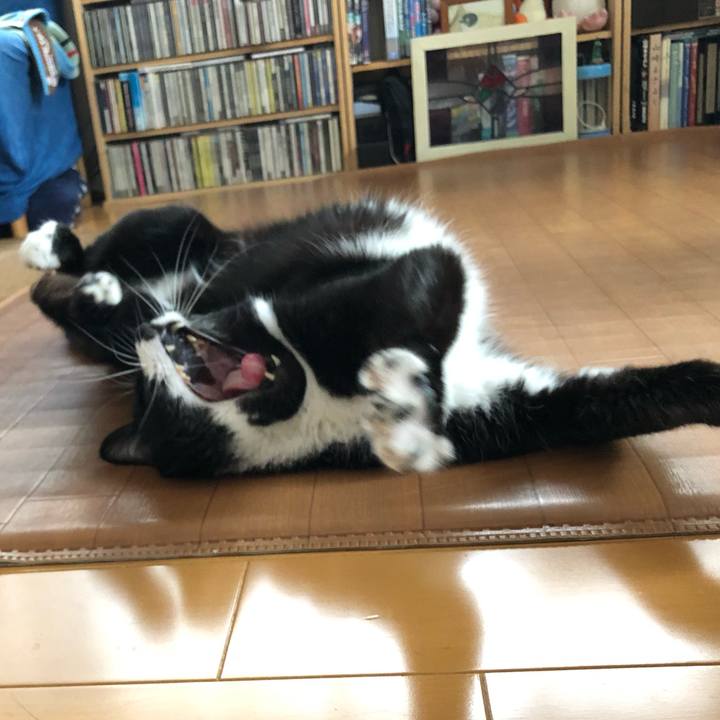 778a0382 5f58 46bc 94bc 223a8e10dc2b 1619063507134