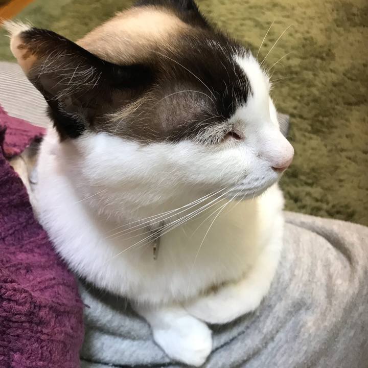 778a6634 3e44 4c9d ba34 4212c37fd973 1616506728500