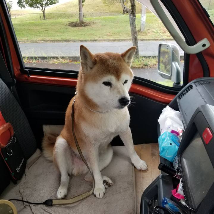 778a7191 73ea 416e 860a 2331a64617e3 1663647052125