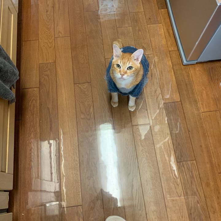 778a841d ddf1 4203 8c57 6f2a00b17488 1655675779185