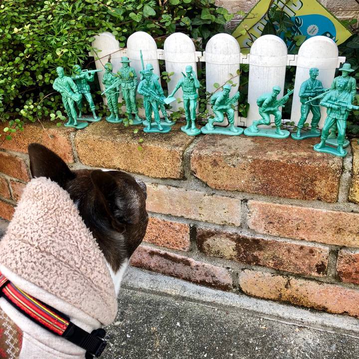 778a8e3d 0d47 4814 85d0 213d16f92a81 1512023138570