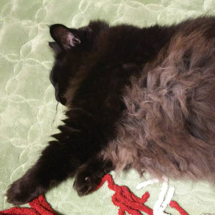 778ab2f7 afd8 40e4 981d c255251e66f6 1511097910021