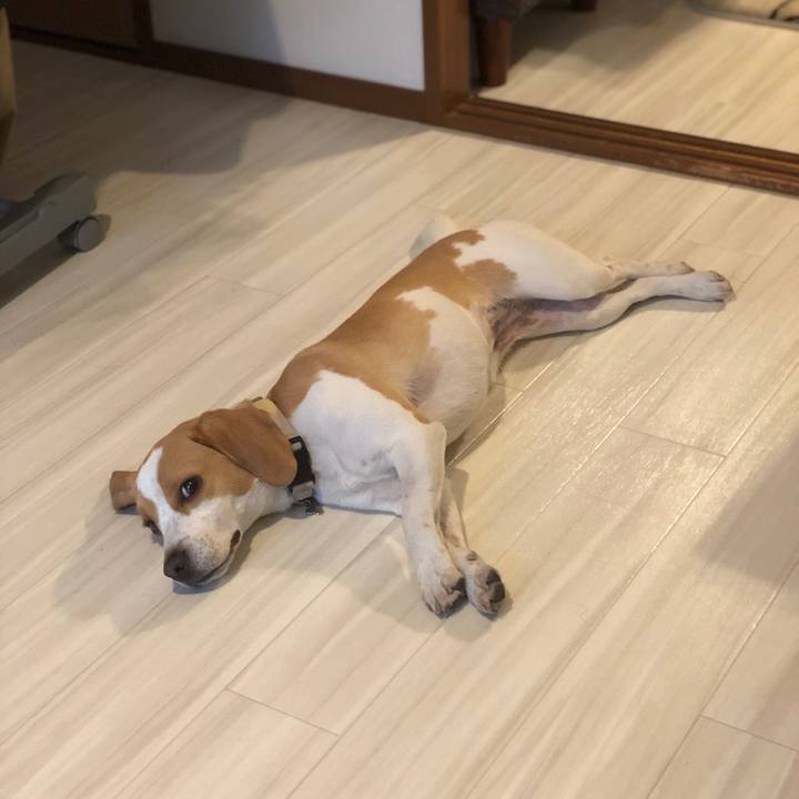 778ab57f b92d 426a a309 7534373a9ffe 1557479726650