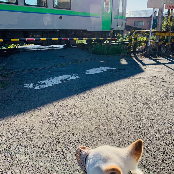 778ab993 4cc4 4863 b492 ba1fe1697c33 1565819987948