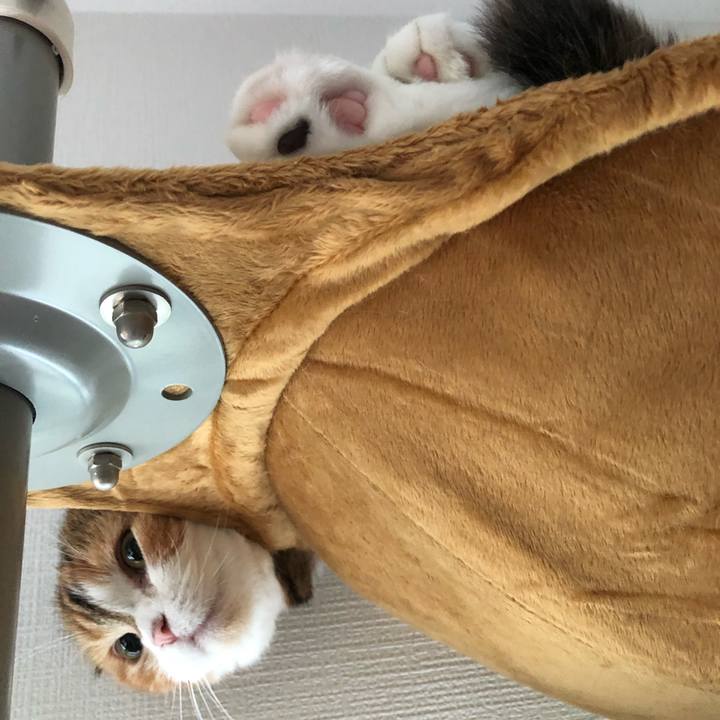 778ae7c8 2461 4fce 906c 539b9b470b60 1565513912430