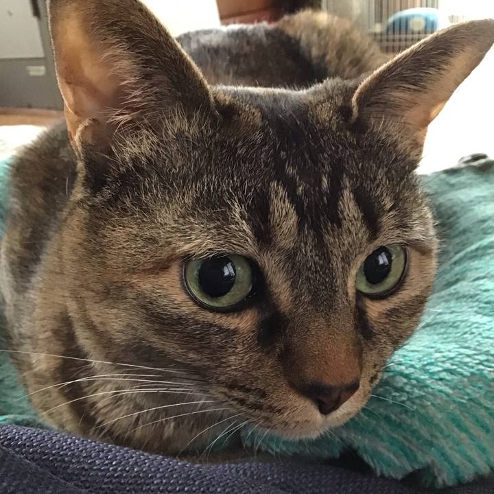 778b17c6 a597 401e a4a3 fbec660f1be4 1748146550510