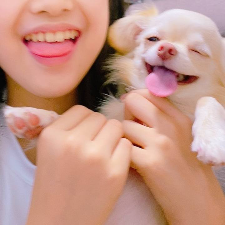 778b1a72 a4eb 4d4e a864 ae12a365784e 1625275023249