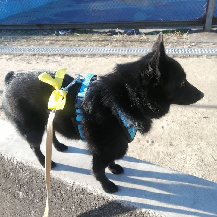 778b21f7 2460 4449 8991 c4e7795e1ce1 1640910323691