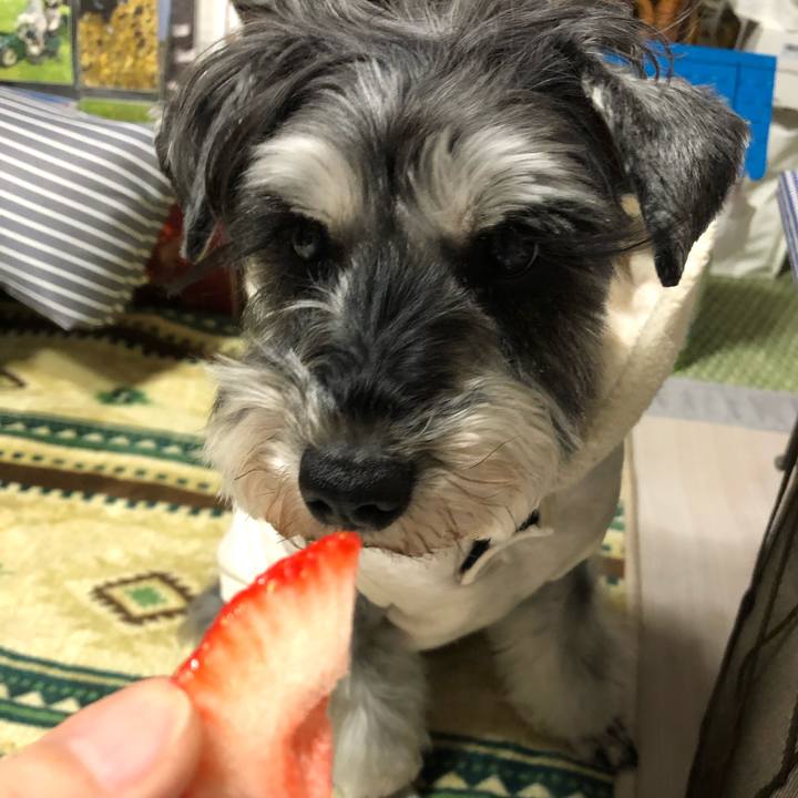 778b3806 12bb 4218 a7c7 306b289471e2 1646491262883