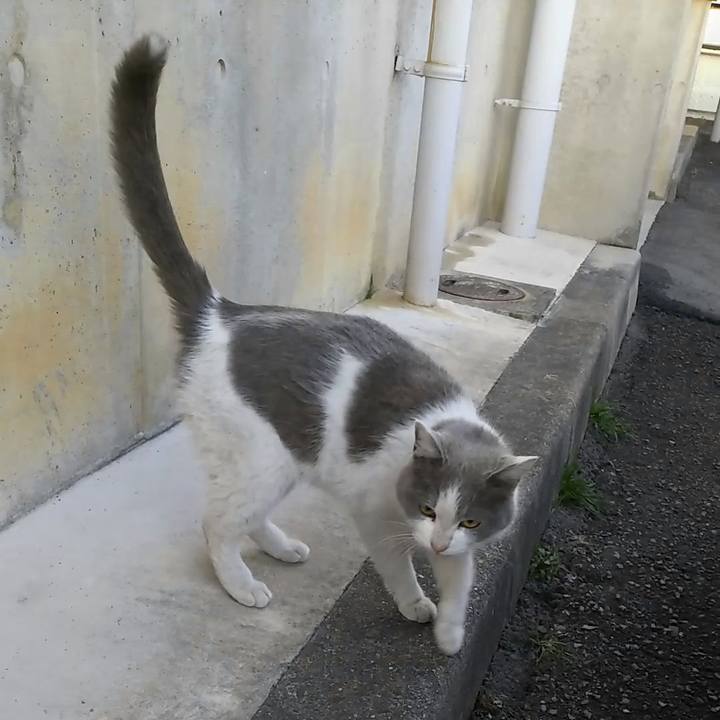 778b4b24 6bf8 440f 8bdf 171a1af586b6 1551392005651