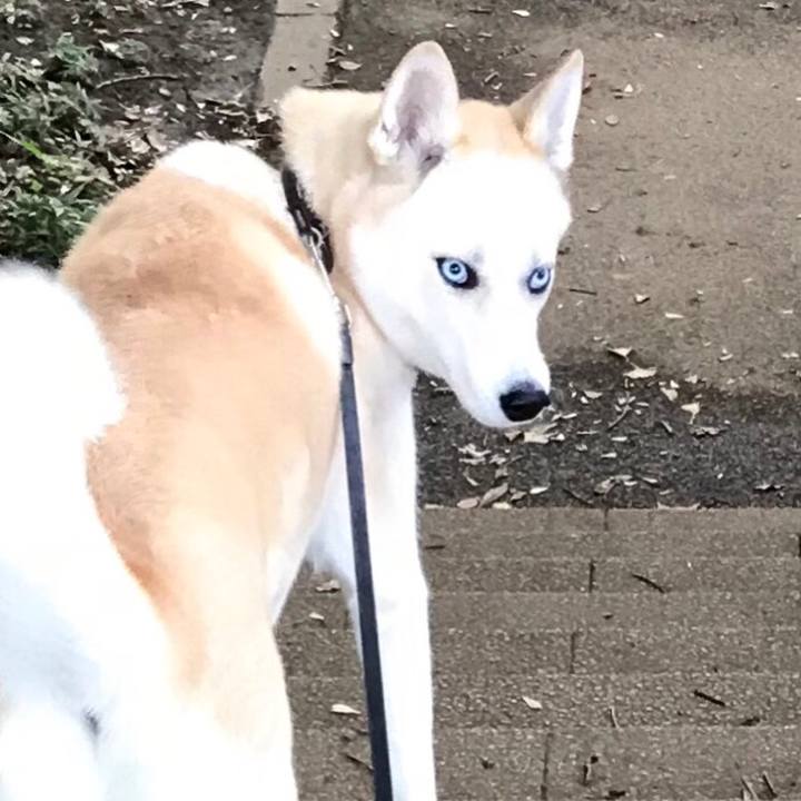 778b6313 7f21 48c2 a829 ecffc5f4e54e 1536705424543