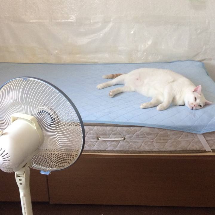 778ba0fc 59f0 45e5 97eb 176a5c6a80a2 1565329883848