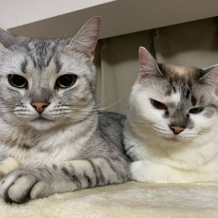 778bd60f ff2f 4469 b61a 39e9603f15ec 1592301962751