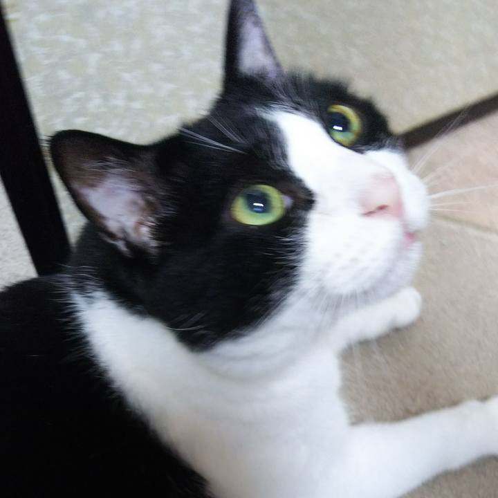 778be87c 4124 4700 9219 601ba3e221cd 1530827293845