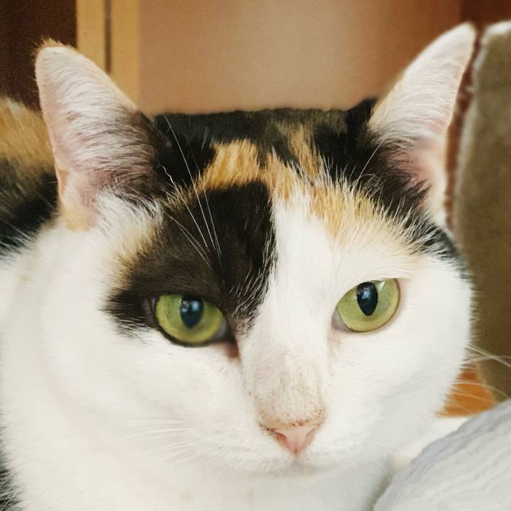 778c0dd9 b1ab 4bb1 89ea 4b5ea6531b47 1599272428719