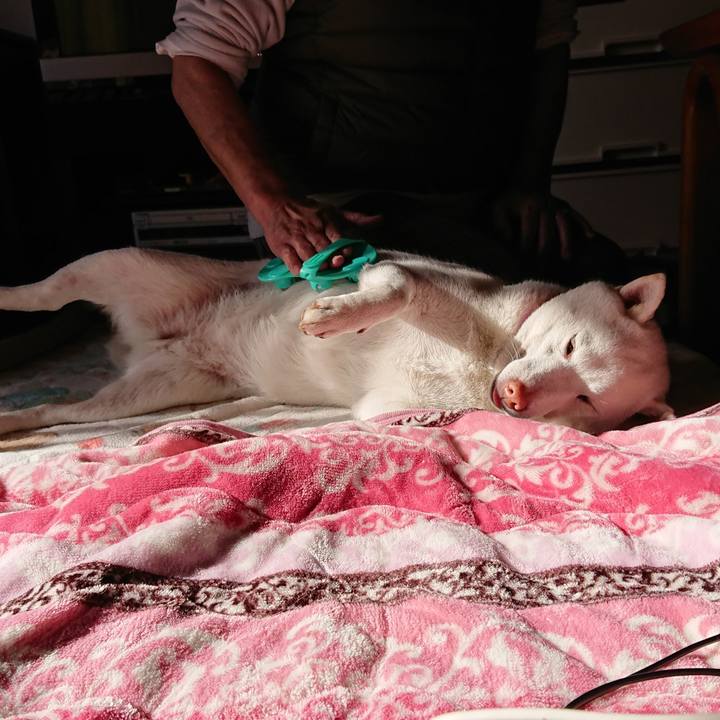 778c2882 2cb7 4ed8 b7af 538dba6b120d 1544996297519